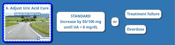 6. Adjust Uric Acid Cure