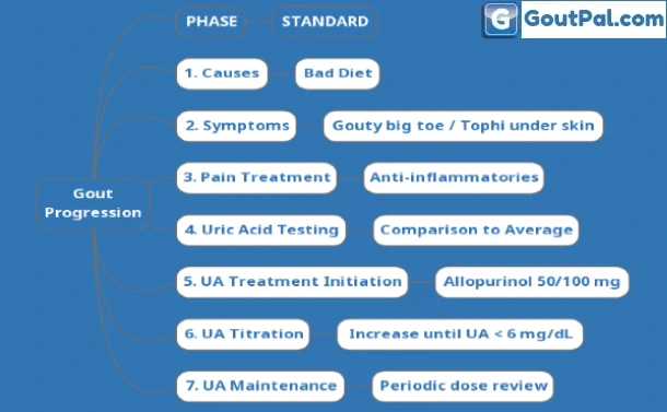 Gout Progression Phases