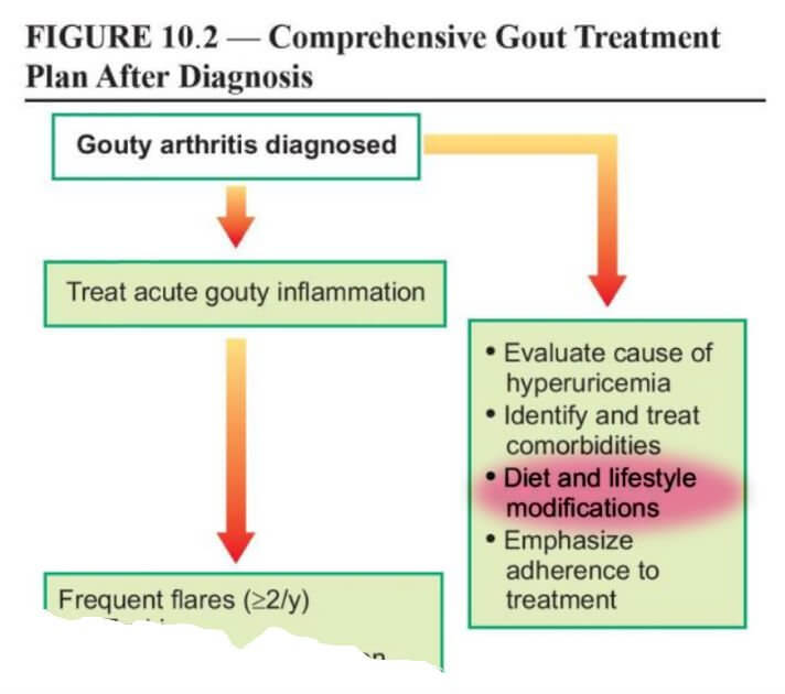 Gout Diet Plan Intro is part of Management Plan